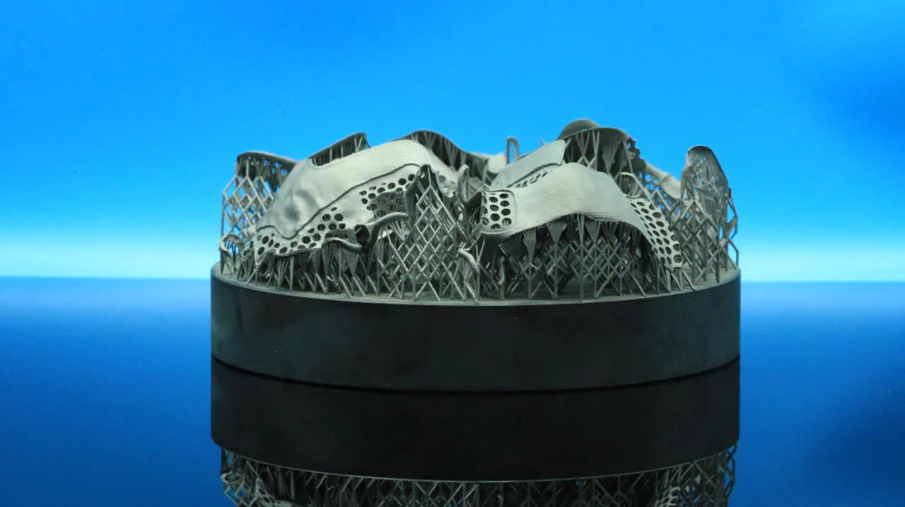 dental metal framework